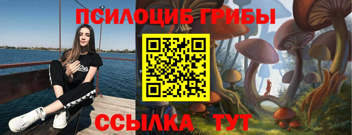 Янаул  Галлюциногенные грибы Cubensis  Вход с VPN 